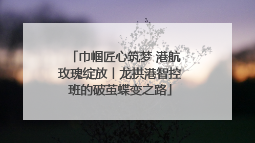 巾帼匠心筑梦 港航玫瑰绽放丨龙拱港智控班的破茧蝶变之路